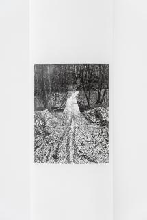 The Essence of Perception - Kateřina Makar Václavková / Róbert Makar